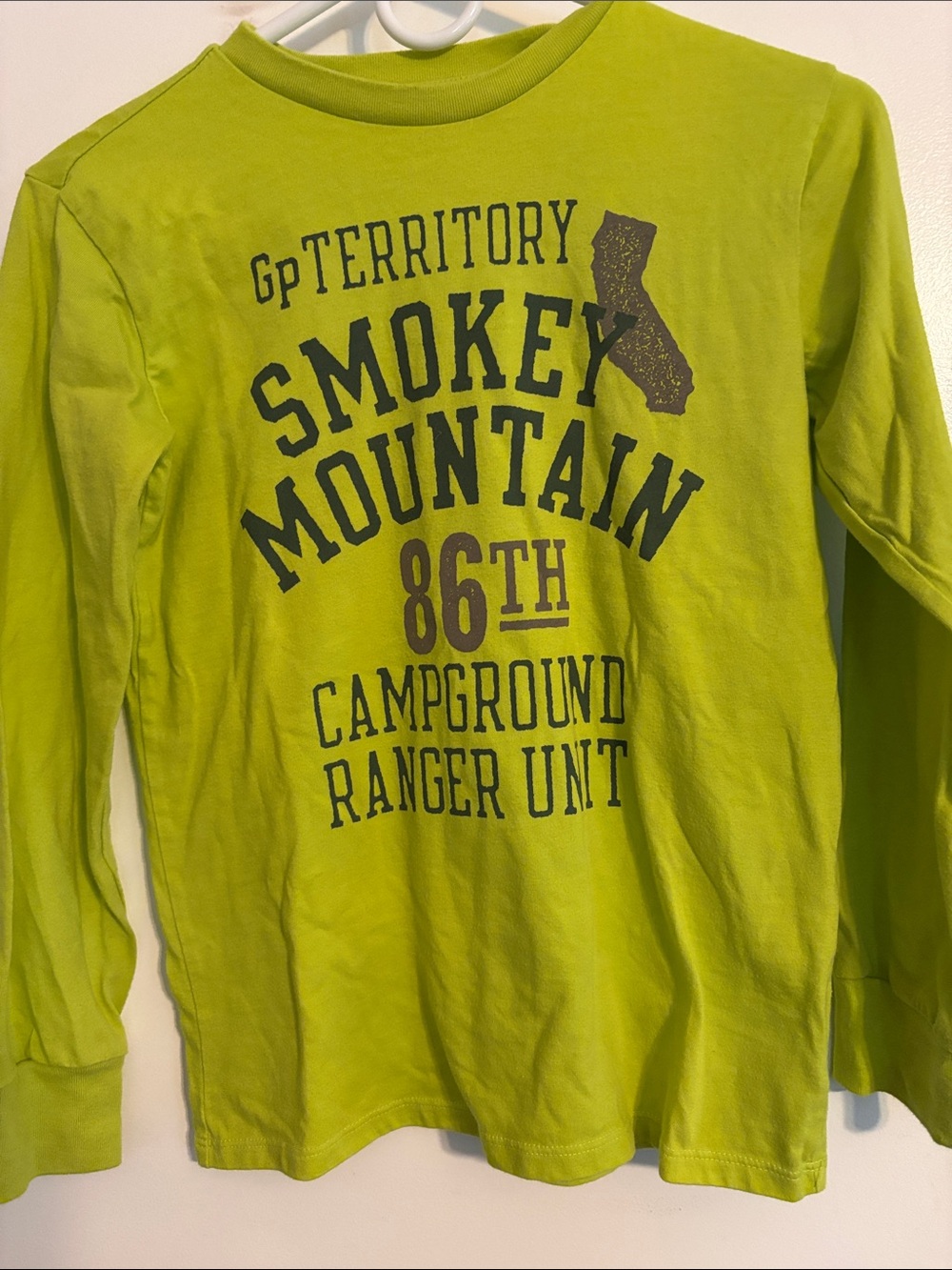 GAP Lime Green Long Sleeve Smokey Mountain Graphic Tee